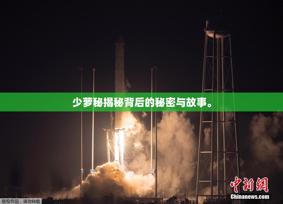 少萝秘揭秘背后的秘密与故事。
