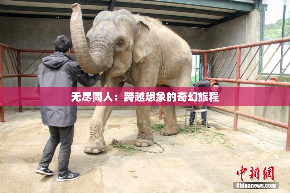 无尽同人：跨越想象的奇幻旅程