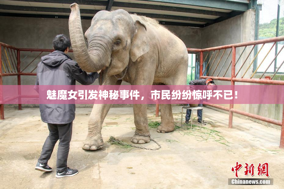 魅魔女引发神秘事件，市民纷纷惊呼不已！