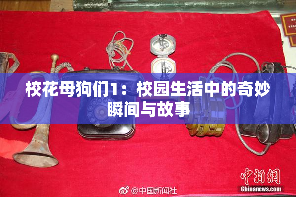 校花母狗们1：校园生活中的奇妙瞬间与故事