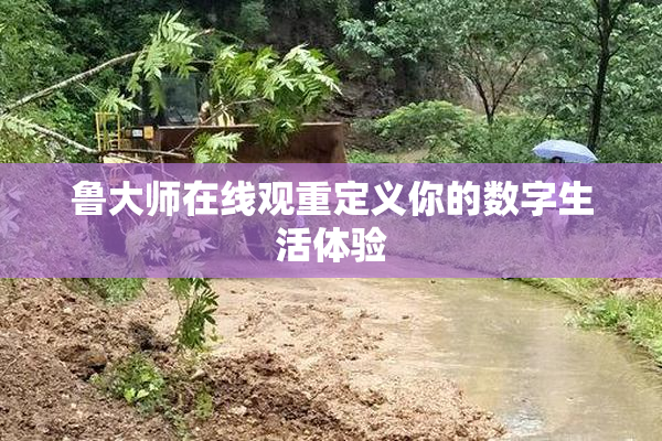 鲁大师在线观重定义你的数字生活体验