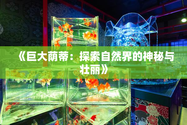 《巨大荫蒂：探索自然界的神秘与壮丽》