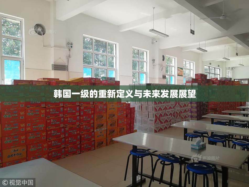 韩国一级的重新定义与未来发展展望