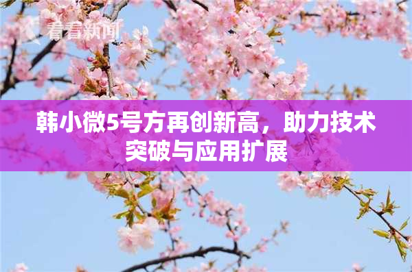 韩小微5号方再创新高，助力技术突破与应用扩展