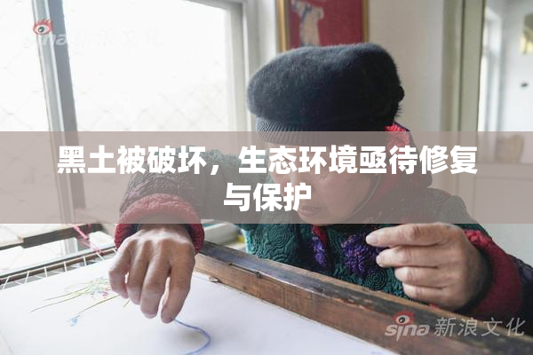 黑土被破坏，生态环境亟待修复与保护