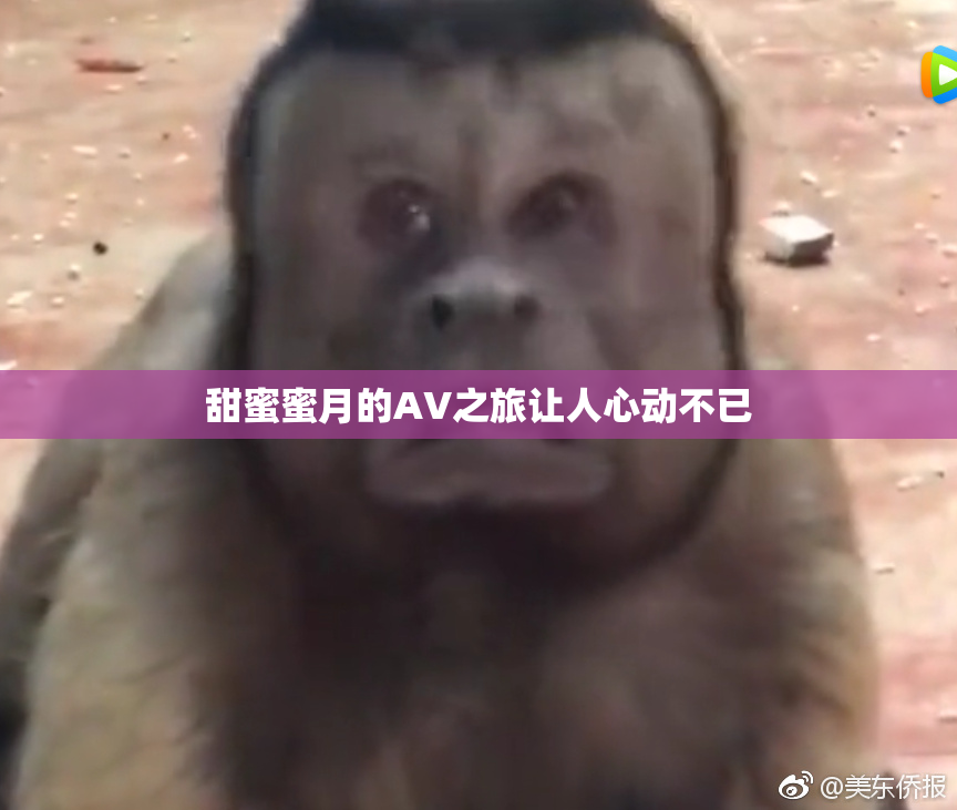 甜蜜蜜月的AV之旅让人心动不已