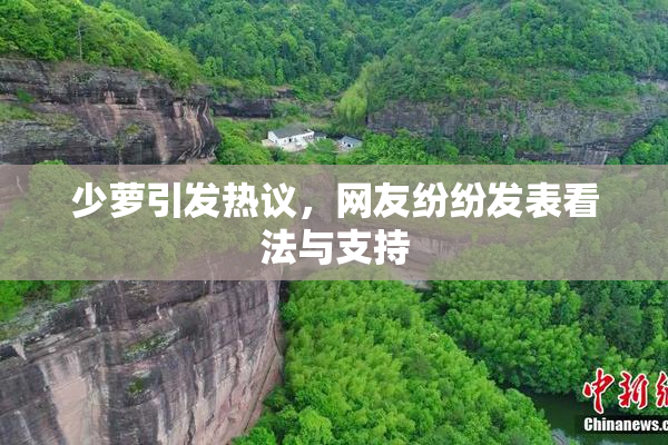 少萝引发热议，网友纷纷发表看法与支持