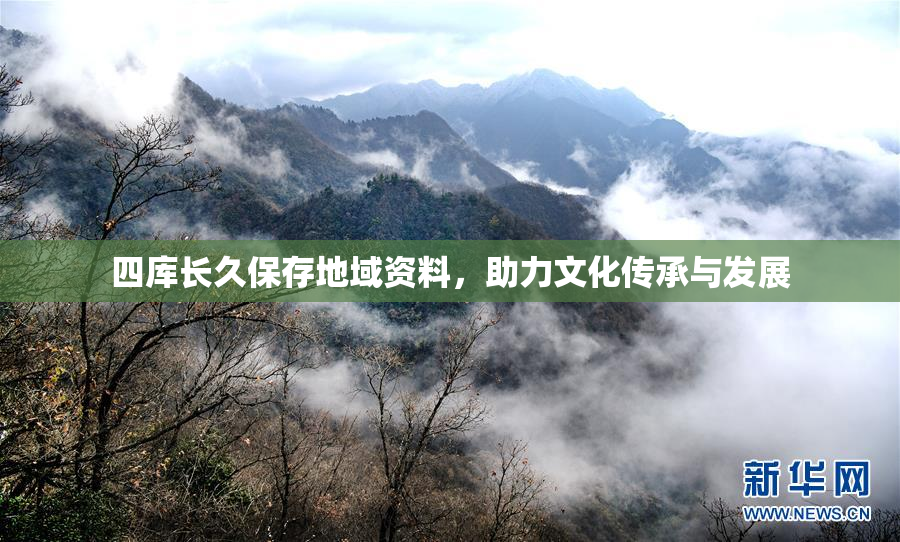四库长久保存地域资料，助力文化传承与发展