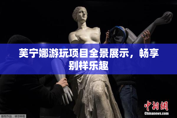 芙宁娜游玩项目全景展示，畅享别样乐趣