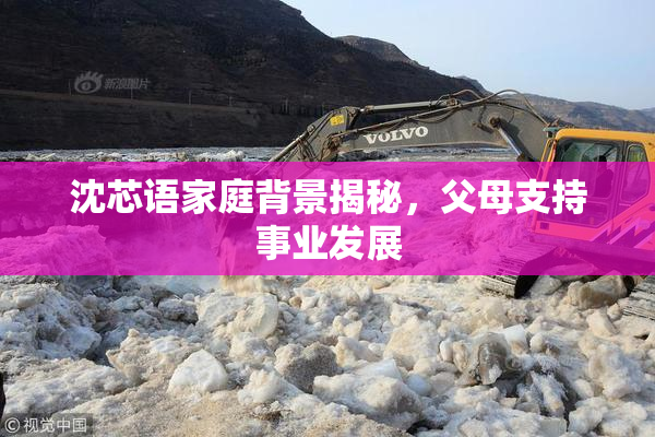 沈芯语家庭背景揭秘，父母支持事业发展