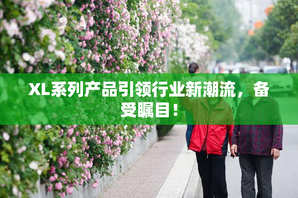 XL系列产品引领行业新潮流，备受瞩目！