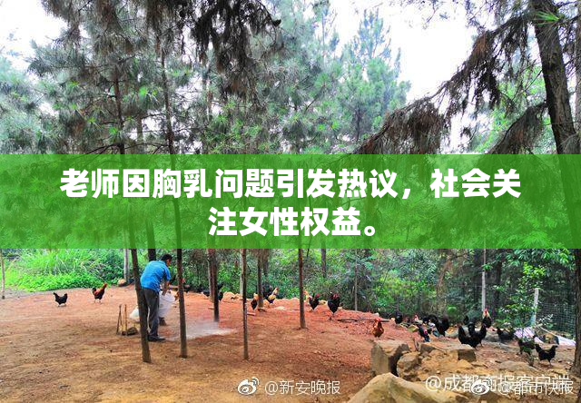 老师因胸乳问题引发热议，社会关注女性权益。