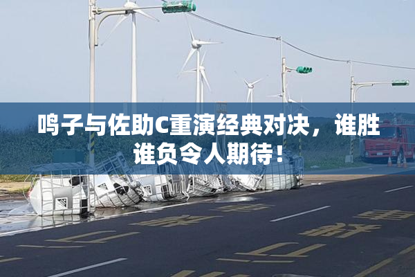 鸣子与佐助C重演经典对决，谁胜谁负令人期待！