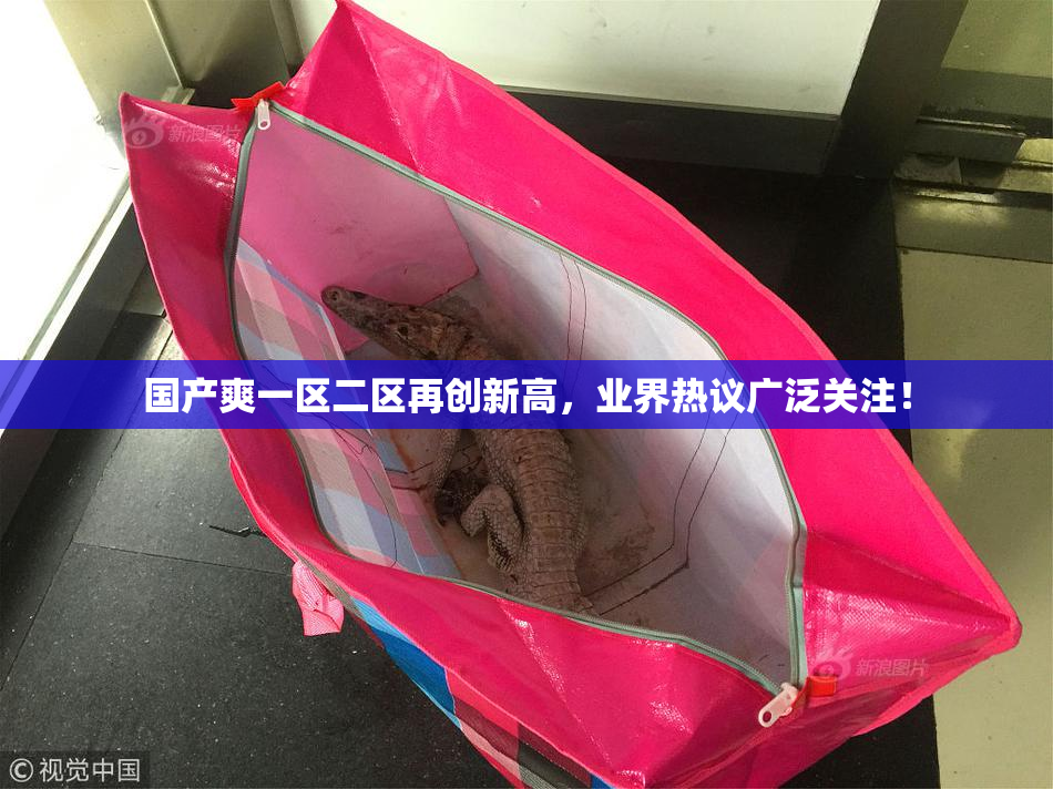 国产爽一区二区再创新高，业界热议广泛关注！