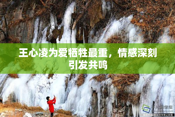 王心凌为爱牺牲最重，情感深刻引发共鸣