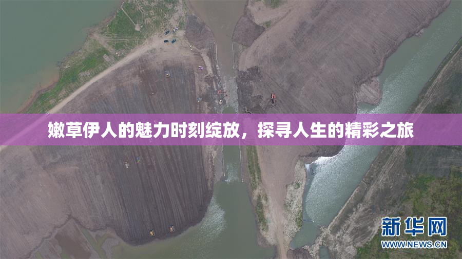 嫩草伊人的魅力时刻绽放，探寻人生的精彩之旅