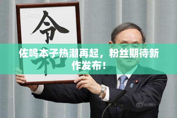 佐鸣本子热潮再起，粉丝期待新作发布！