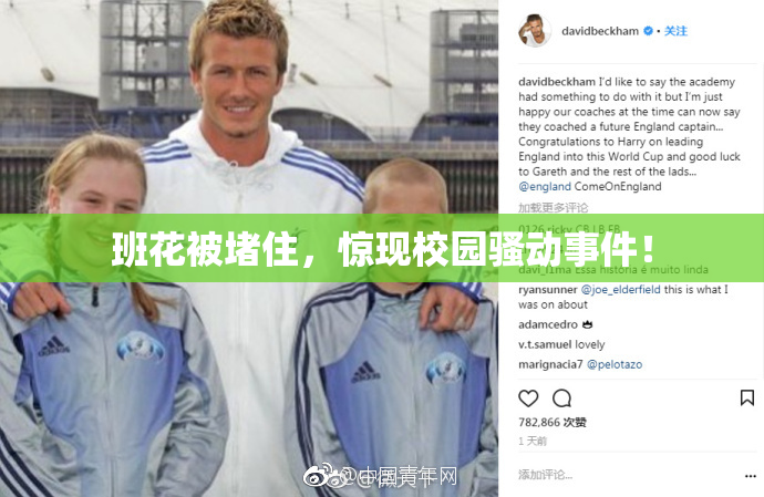 班花被堵住，惊现校园骚动事件！
