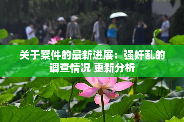 关于案件的最新进展：强奸乱的调查情况 更新分析