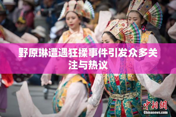 野原琳遭遇狂揉事件引发众多关注与热议