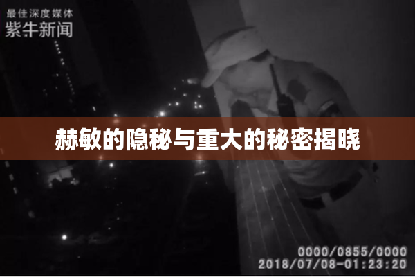 赫敏的隐秘与重大的秘密揭晓