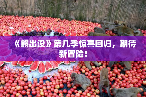 《熊出没》第几季惊喜回归，期待新冒险！