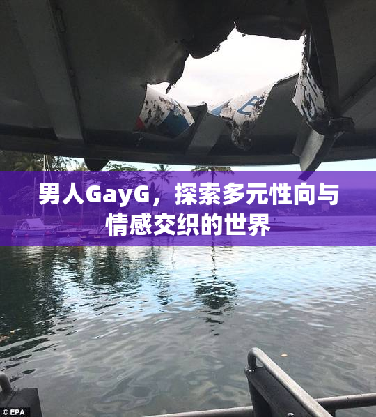 男人GayG，探索多元性向与情感交织的世界