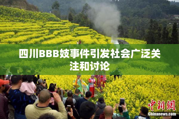 四川BBB妓事件引发社会广泛关注和讨论