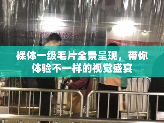 裸体一级毛片全景呈现，带你体验不一样的视觉盛宴