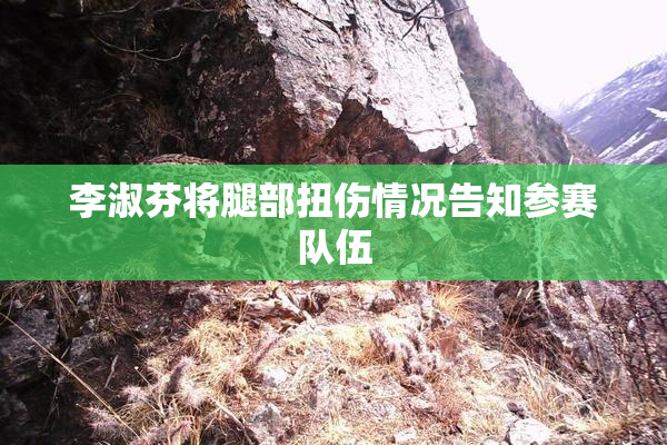 李淑芬将腿部扭伤情况告知参赛队伍