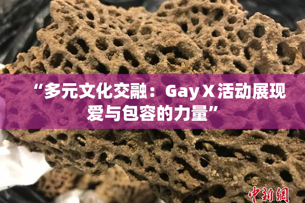 “多元文化交融：GayⅩ活动展现爱与包容的力量”