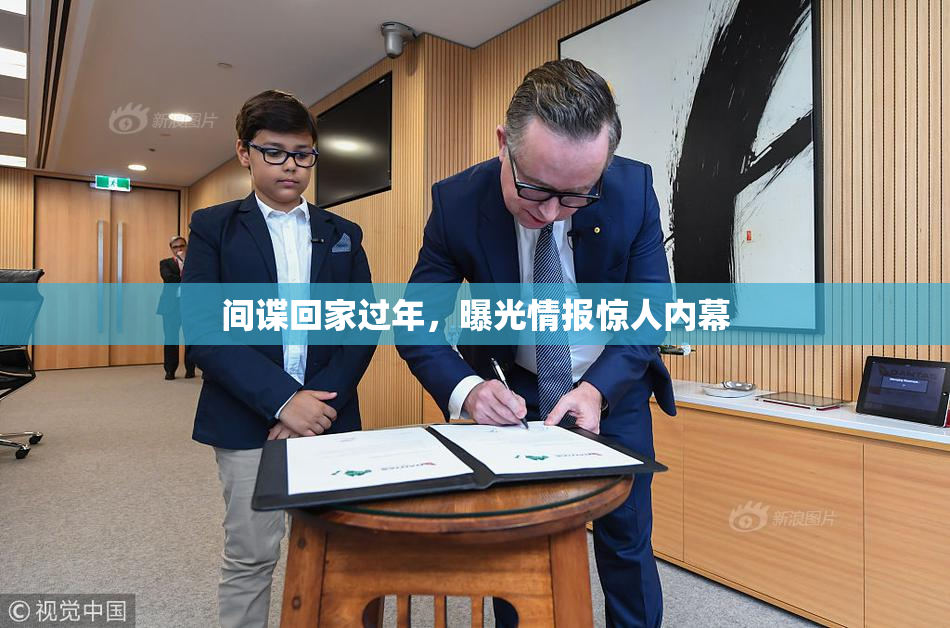 间谍回家过年，曝光情报惊人内幕
