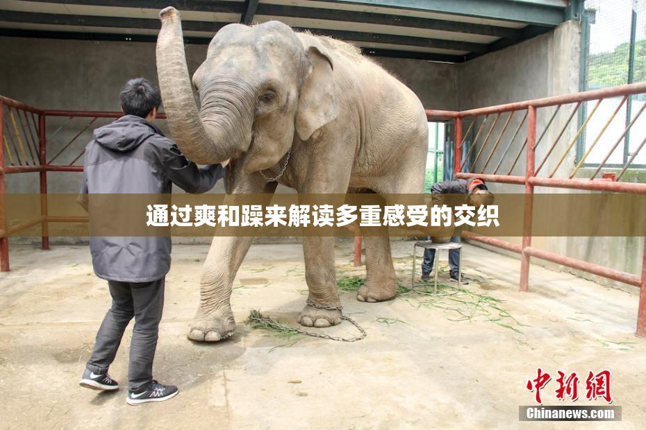 通过爽和躁来解读多重感受的交织