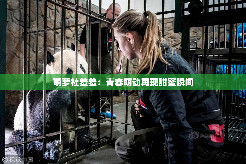 萌萝社羞羞：青春萌动再现甜蜜瞬间
