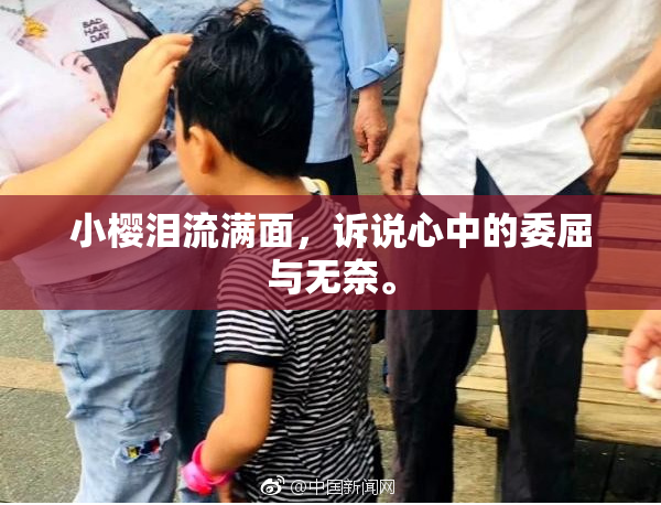 小樱泪流满面，诉说心中的委屈与无奈。