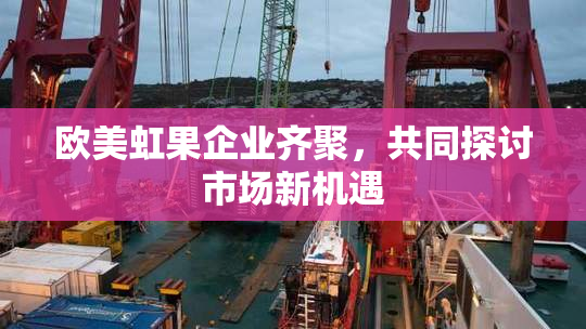 欧美虹果企业齐聚，共同探讨市场新机遇