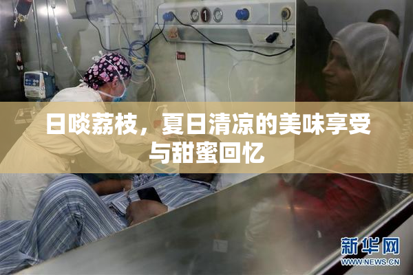 日啖荔枝，夏日清凉的美味享受与甜蜜回忆