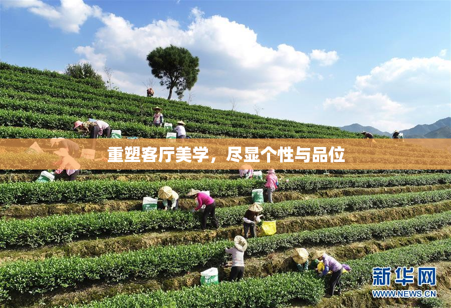 重塑客厅美学，尽显个性与品位
