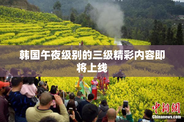 韩国午夜级别的三级精彩内容即将上线