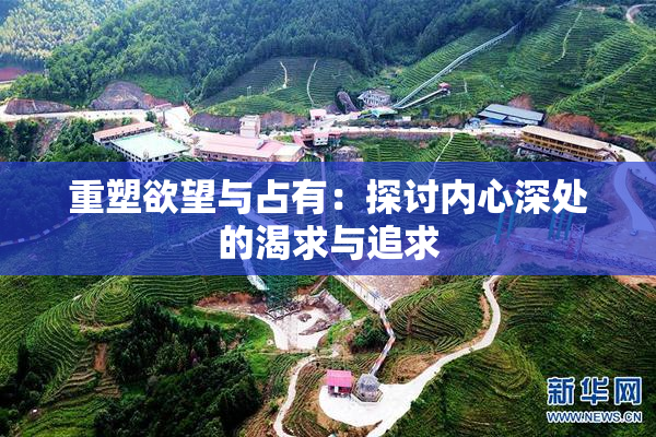 重塑欲望与占有：探讨内心深处的渴求与追求