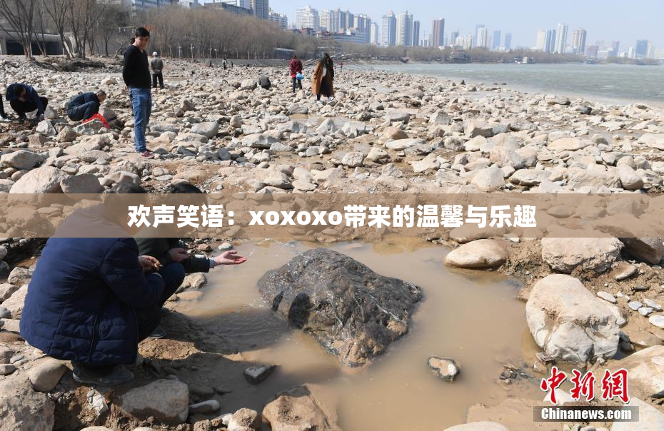 欢声笑语：xoxoxo带来的温馨与乐趣