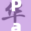 Palo引领科技潮流，创新发展再创佳绩！