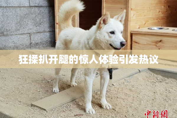 狂揉扒开腿的惊人体验引发热议
