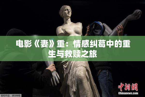 电影《妻》重：情感纠葛中的重生与救赎之旅