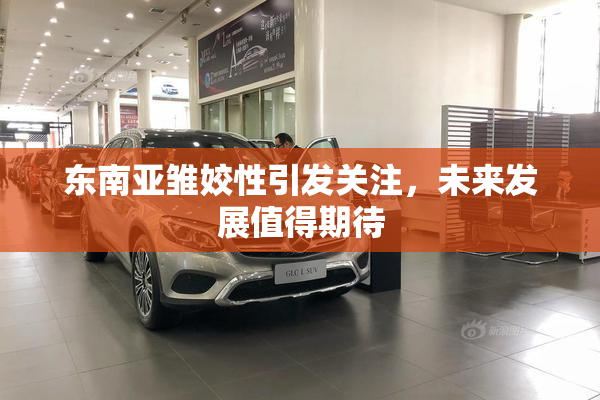 东南亚雏姣性引发关注，未来发展值得期待