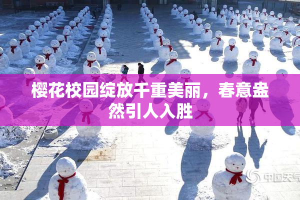 樱花校园绽放千重美丽，春意盎然引人入胜