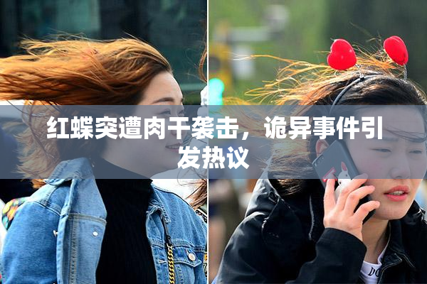 红蝶突遭肉干袭击，诡异事件引发热议