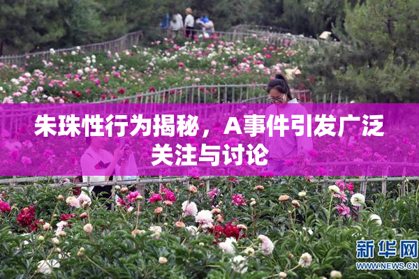 朱珠性行为揭秘，A事件引发广泛关注与讨论