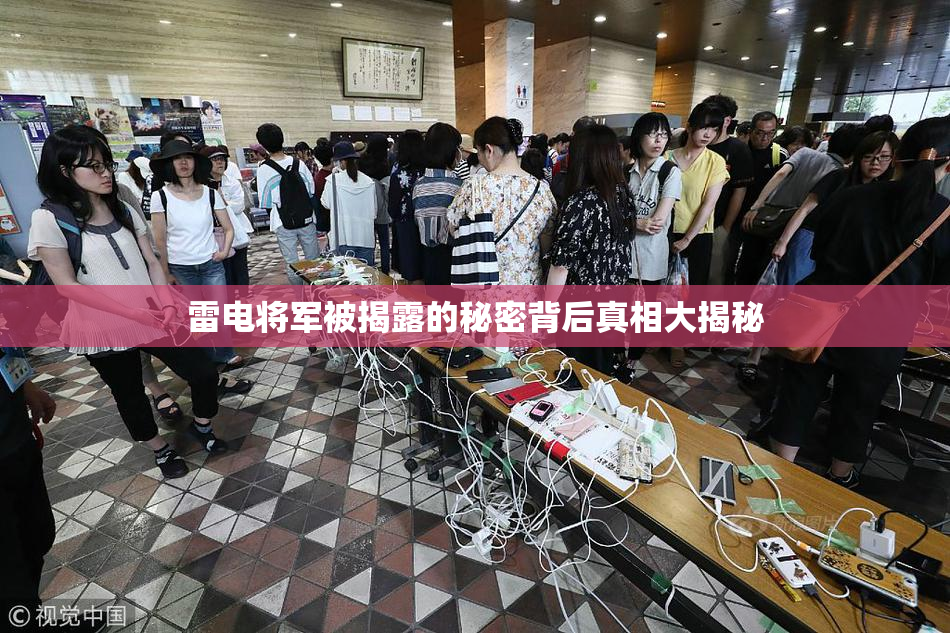 雷电将军被揭露的秘密背后真相大揭秘