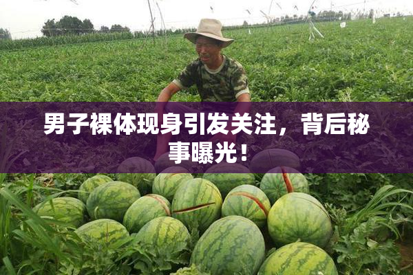 男子裸体现身引发关注，背后秘事曝光！